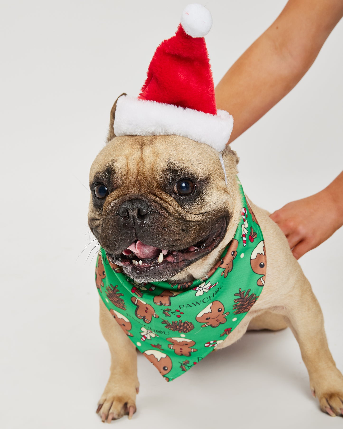 Pawchou Christmas Green Bandana