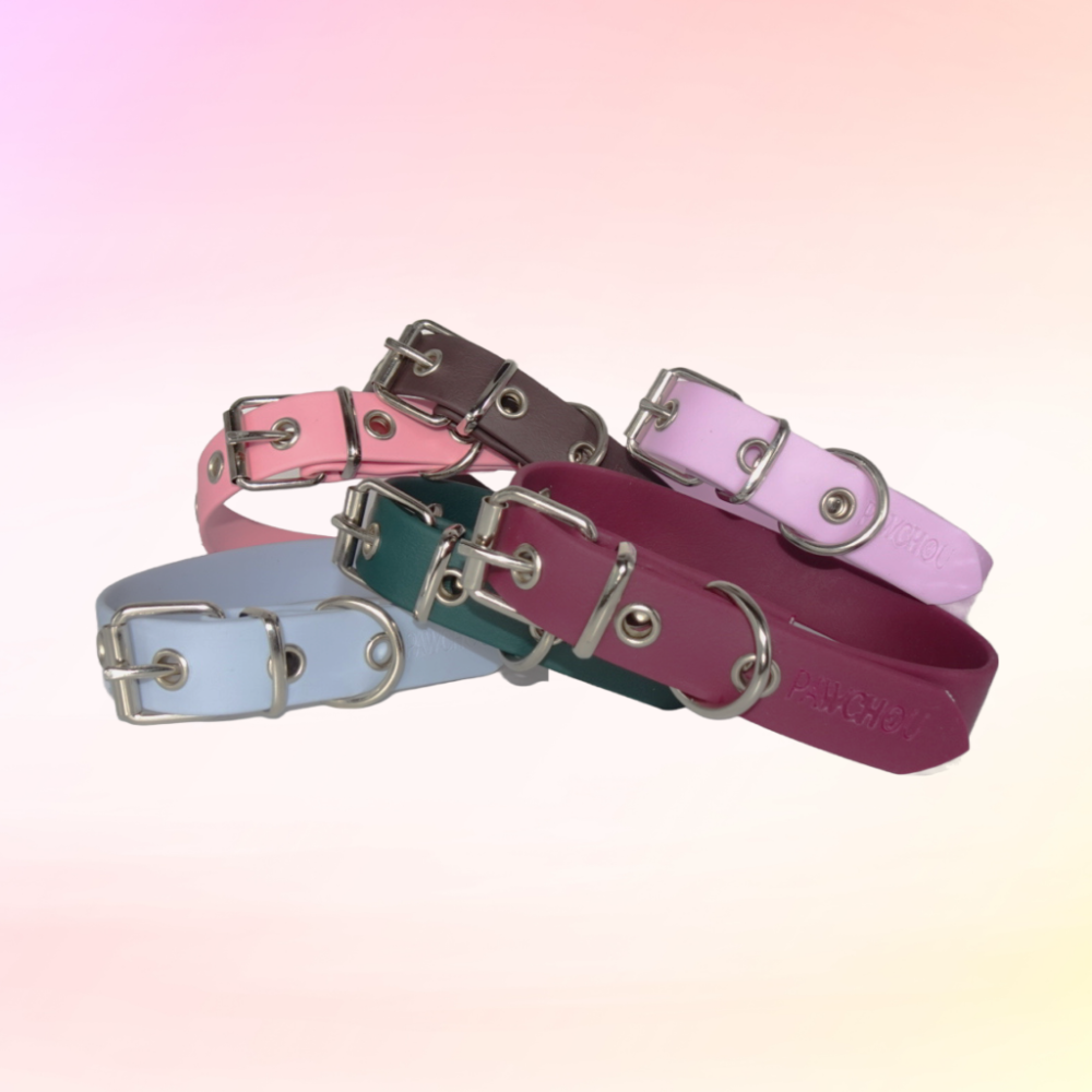 biothane dog collars red blue green pink