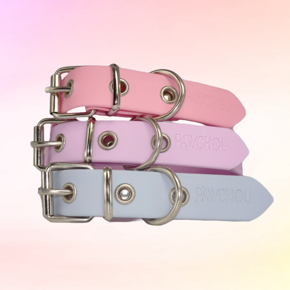 biothane dog collars