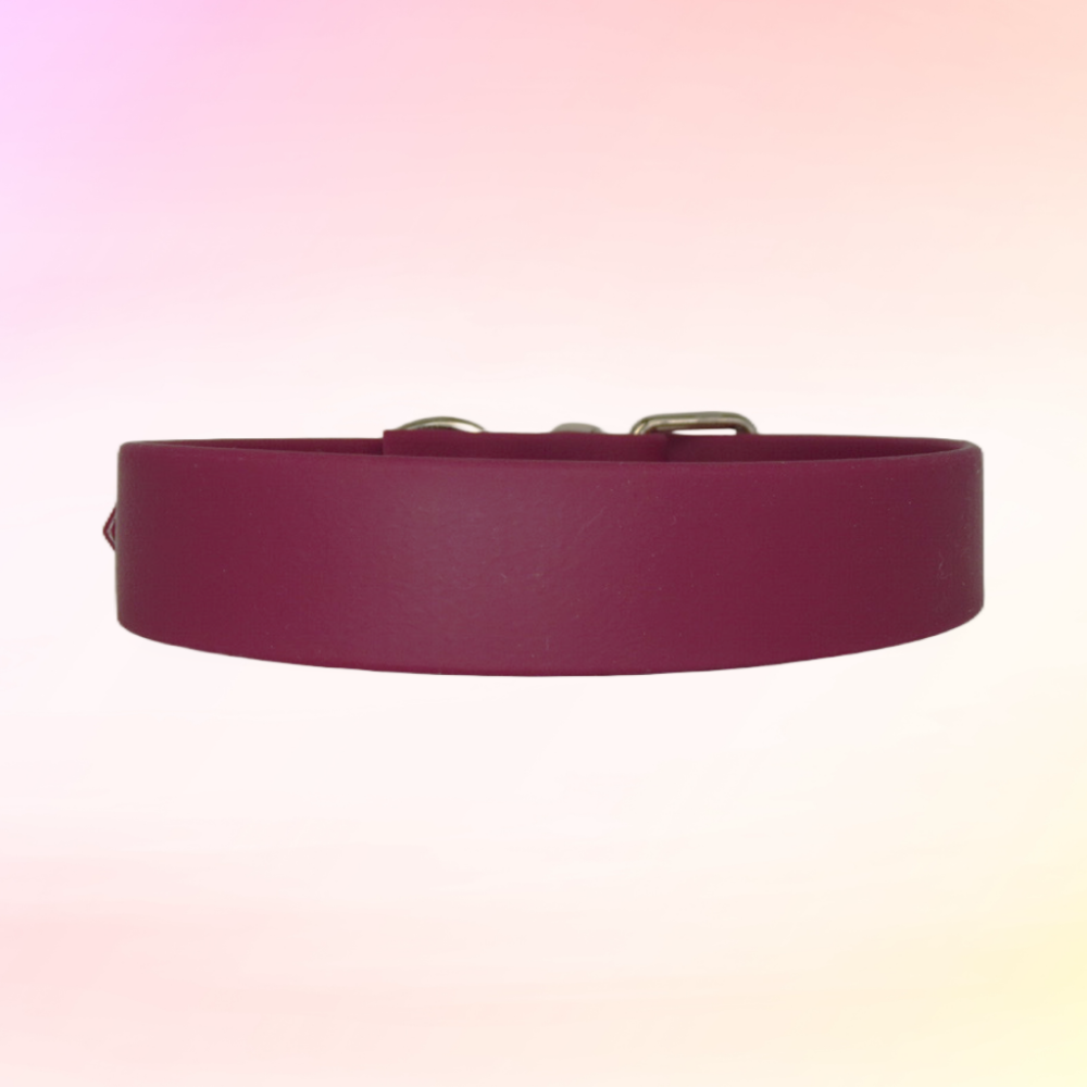 red dog collar