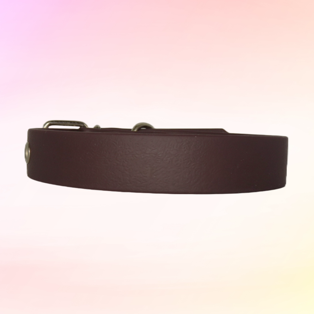 brown biothane dog collar