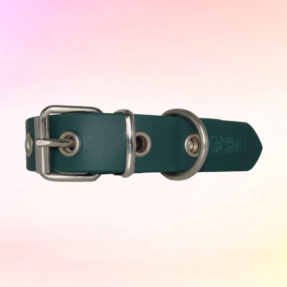 dog collar green