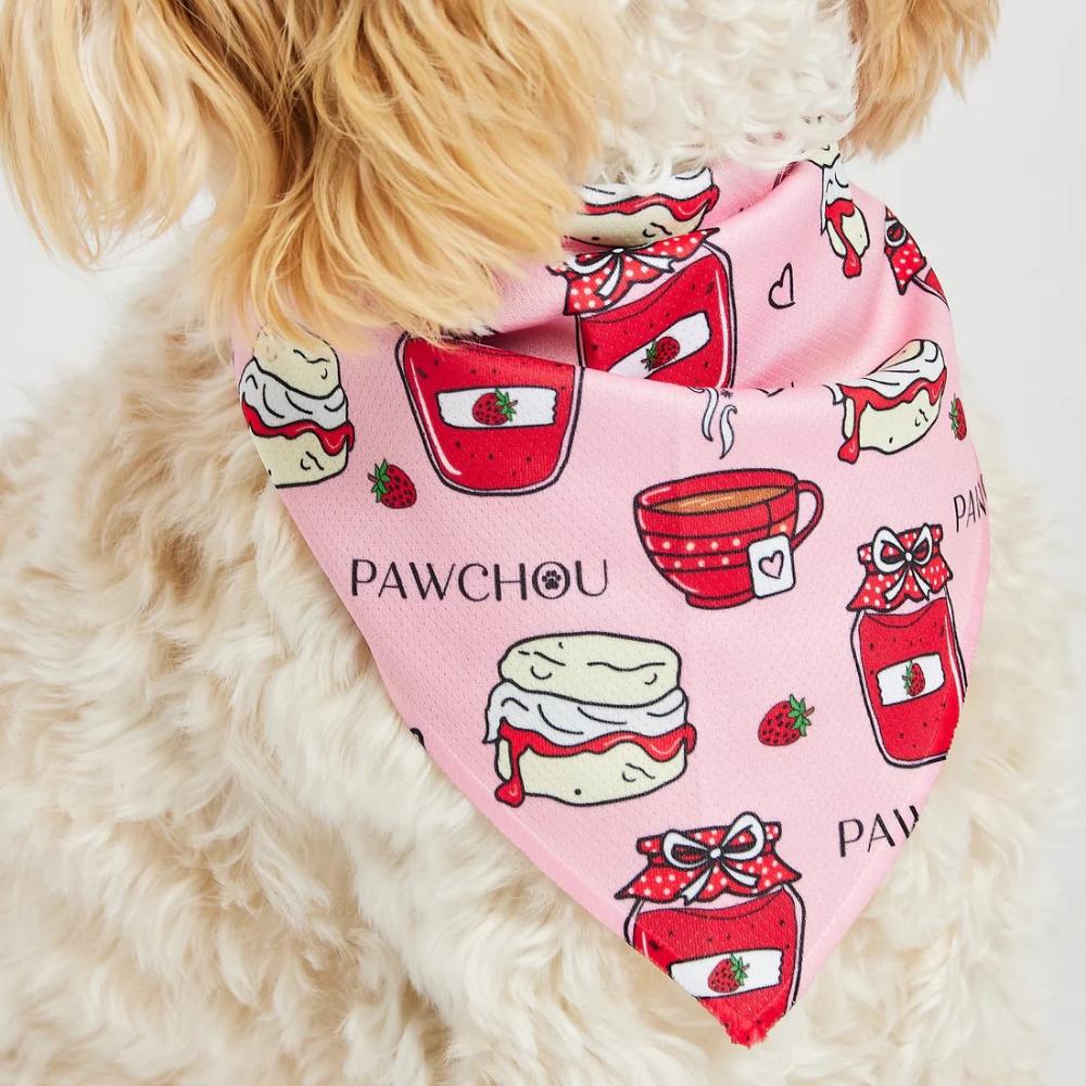 dog pink bandana