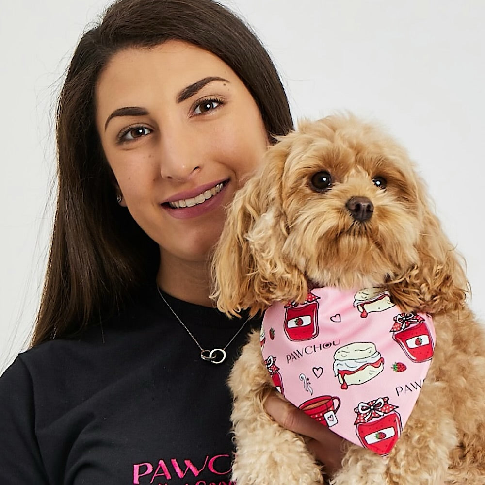 dog pink dog collar and bandana