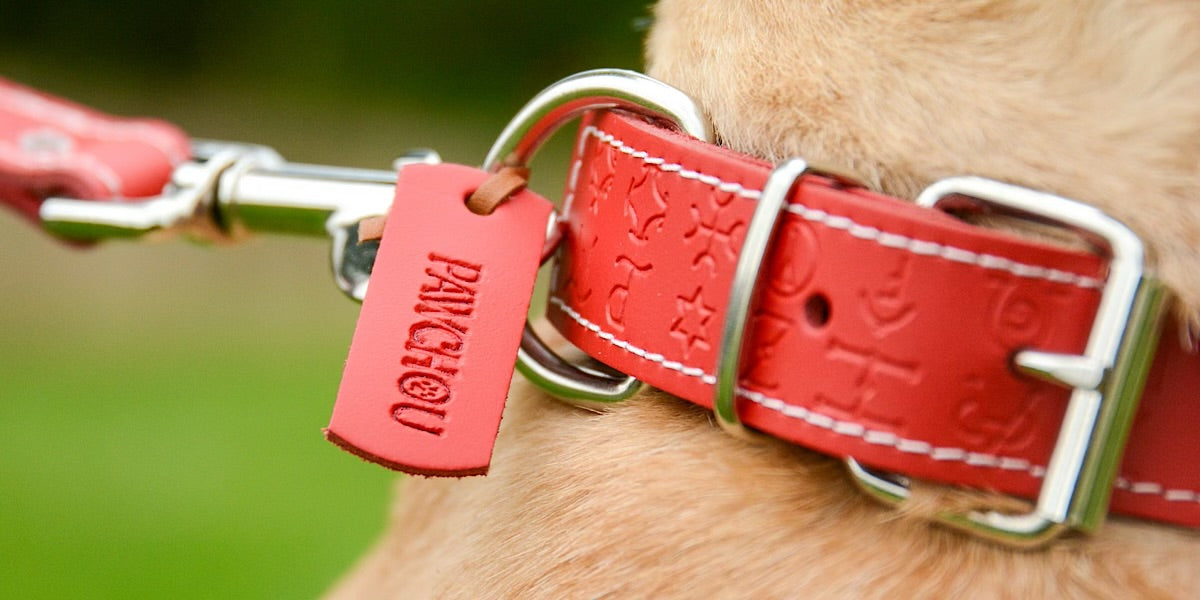 red leather dog collar