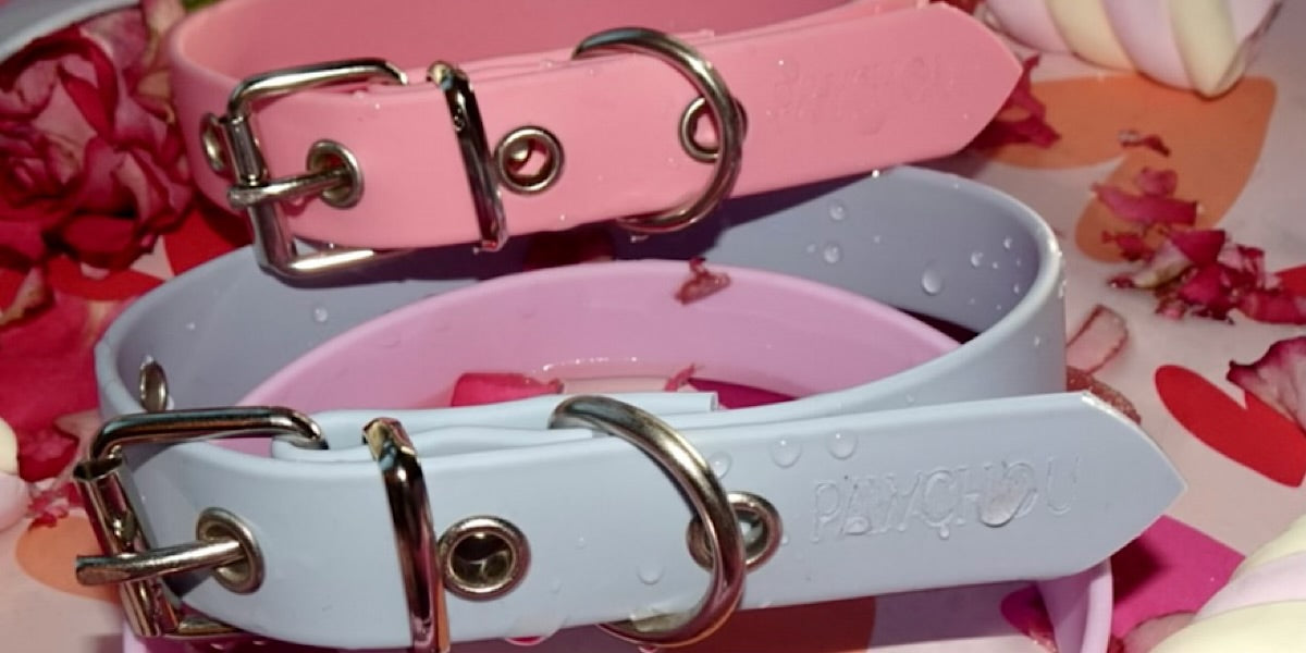 pink blue biothane collars