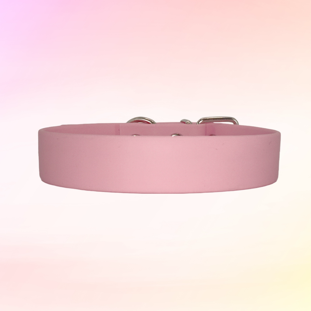 pink dog collar