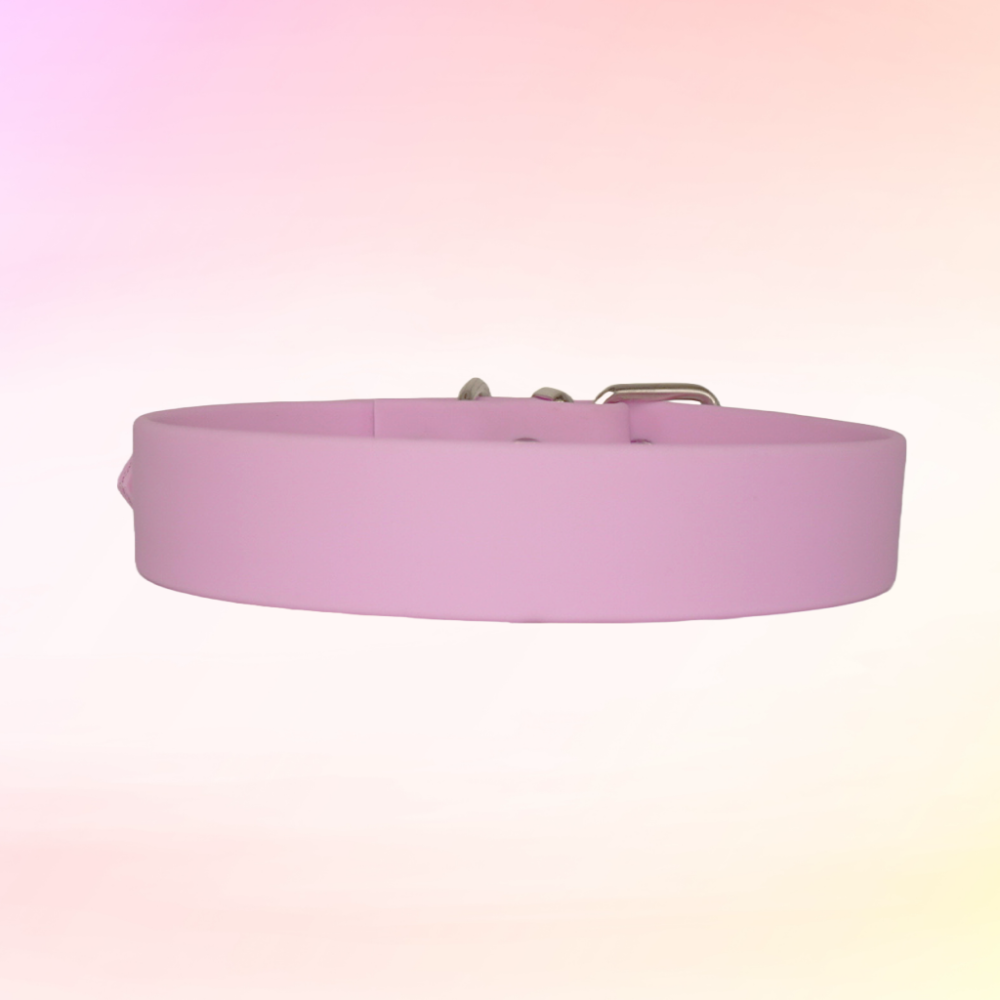 purple dog collar biothane