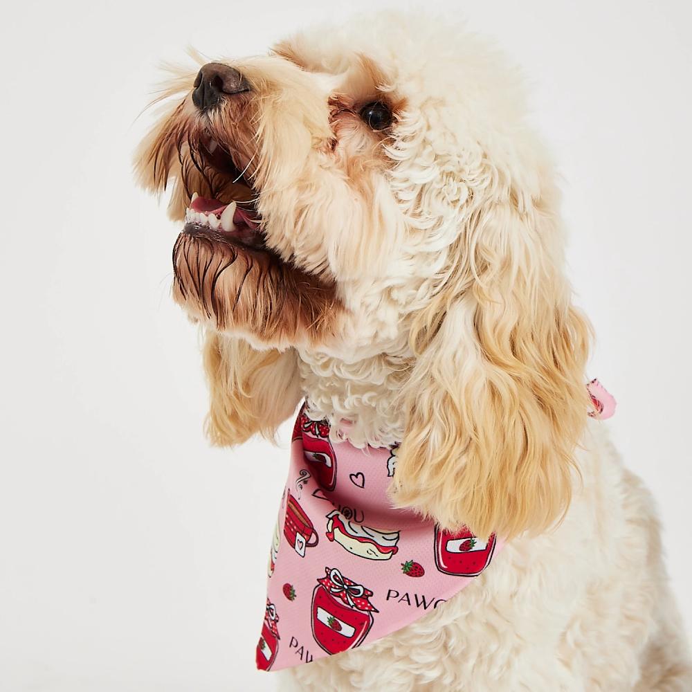 white dog pink bandana